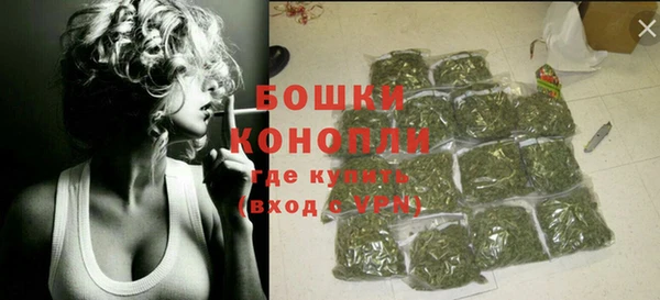 PSILOCYBIN Богданович