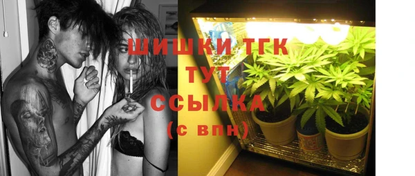 тгк Богородск