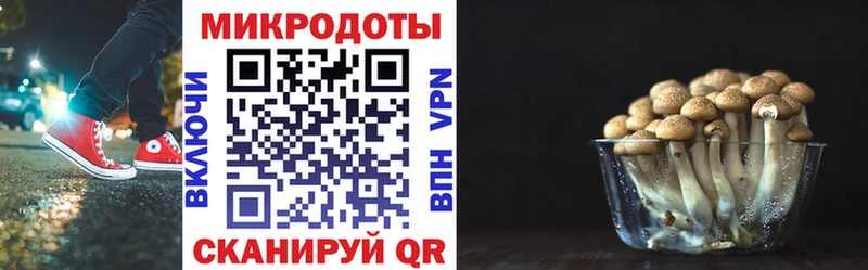 Псилоцибиновые грибы мухоморы  Старый Оскол 